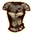 Thumbnail for version as of 06:34, 31 May 2025
