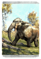 ON-card-Pocket Mammoth.png