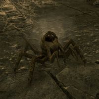 SR-creature-Dwarven Spider Renovator.jpg