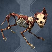 SR-icon-Bone Wolf.jpg