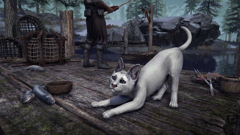 File:ON-crown store-Snowclaw Senche-Serval Kitten.jpg