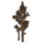 ON-icon-furnishing-Saplings, Desert.png