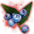 ON-icon-misc-Icebreath Berries of Growth.png