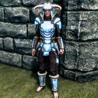 SR-item-Stalhrim Heavy Armor Female.jpg