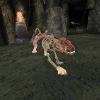 BM-creature-Bonewolf.jpg