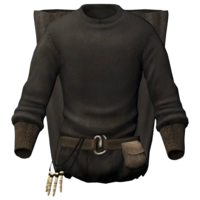 BS5C-icon-clothing-RevenantNecromancerRobes.png