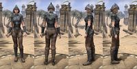 ON-item-armor-Redguard Heavy 1 Female.jpg