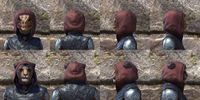 ON-item-armor-Silver Rose Light Beast Races.jpg