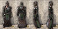 ON-item-armor-Imperial Light Robe 4 Male.jpg