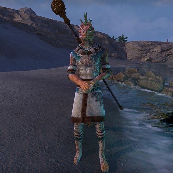 File:ON-npc-Tlali-Haas.jpg