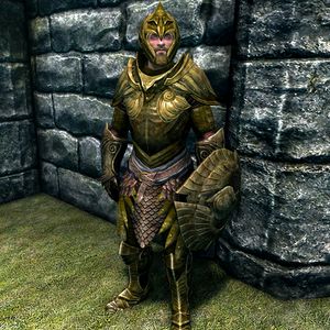 300px SR item Elven Armor Male