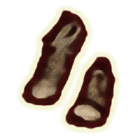 OBR-icon-clothing-Clogs F.png