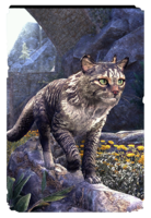 ON-card-Majestic Alpine Cat.png