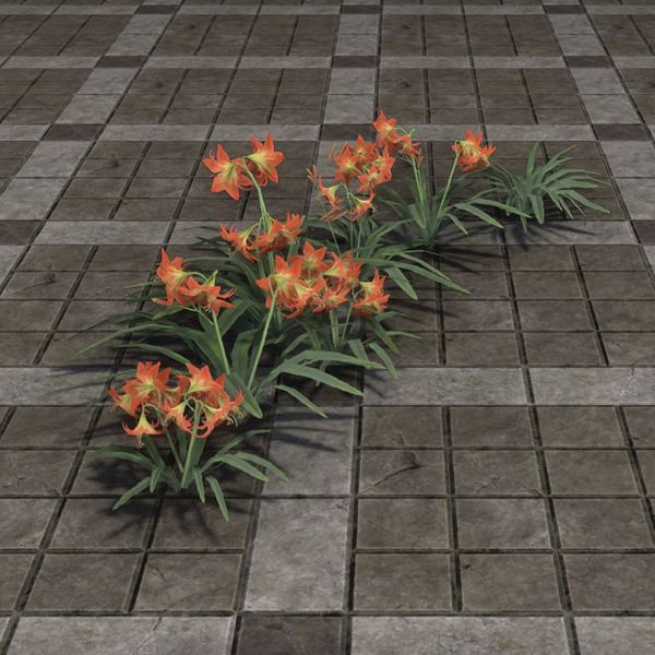 File:ON-furnishing-Flower Patch, Flame Lily.jpg
