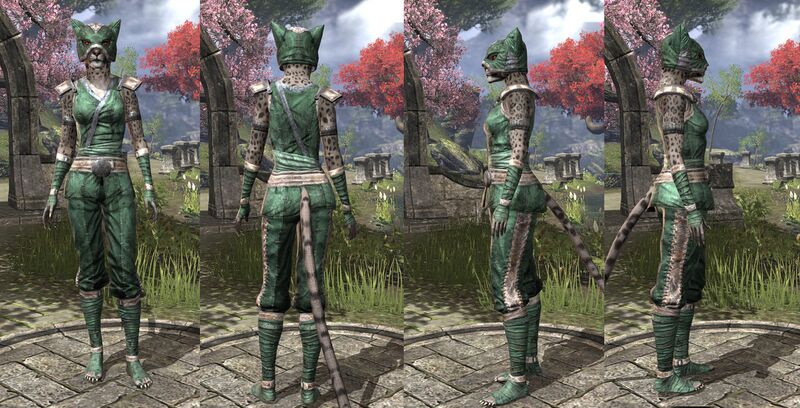 File:ON-item-armor-Khajiit Light Jerkin 1 Female.jpg