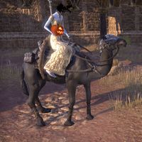 ON-mount-Hollowjack Rider Camel 02.jpg