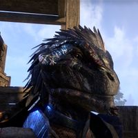 ON-minor adornment-Magicka Ear Clasps Argonian.jpg