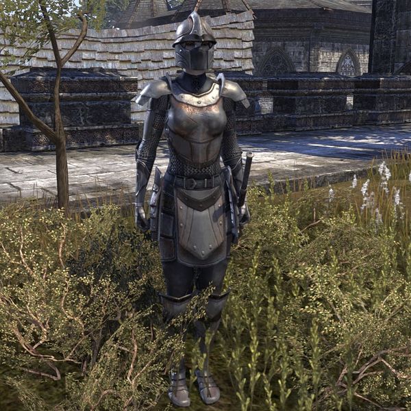 File:ON-npc-Royal Bodyguard2 (Evermore).jpg