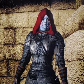 Online profile pic, one of my Oblivion characters