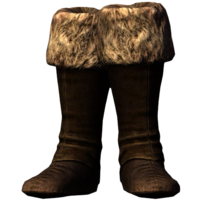 BS5C-icon-armor-ColovianFurBoots.png