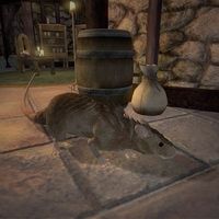 OB-creature-Llevana's Tunnel Rat.jpg