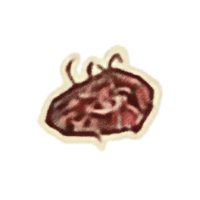 OBR-icon-ingredient-Screaming Maw.png