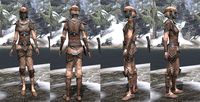 ON-item-armor-Linen-Jerkin-Dunmer-Female.jpg