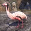 ON-pet-Russafeld Fellrunner.jpg