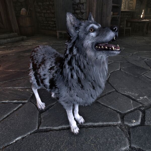 File:OBR-creature-Jake.jpg