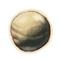 OBR-icon-misc-Flawed Pearl.png