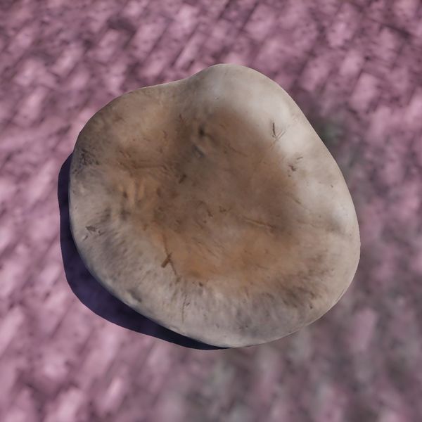 File:OBR-ingredient-Clouded Funnel Cap.jpg