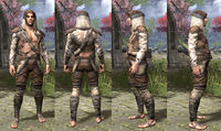 ON-item-armor-Homespun-Jerkin-Bosmer-Male.jpg