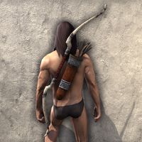ON-item-weapon-Imperial Bow 2.jpg