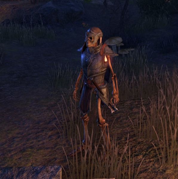 File:ON-npc-Salothan's Defender.jpg