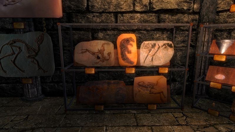 File:SRMOD-LOTD-displays-Fossil-Med 06.jpg