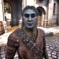 OBR-npc-Dovyn Aren 02.jpg