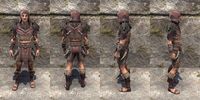 ON-item-armor-The Recollection Light Jerkin Male.jpg