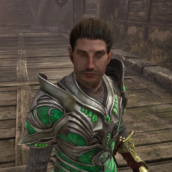 File:OBR-npc-Aenvir 02.jpg