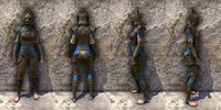 ON-item-armor-Pellitine Heavy Female.jpg