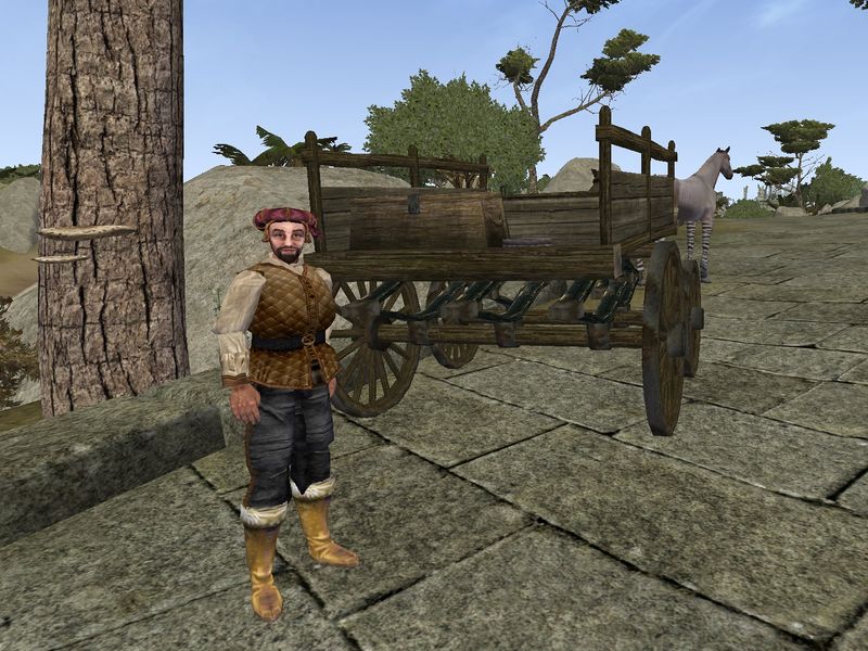 File:PC3-quest-Fortune of a Traveling Merchant.jpg