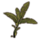 ON-icon-furnishing-Plant, Palm Fronds.png