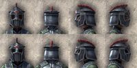 ON-item-armor-Imperial Heavy 2 Beast Races.jpg