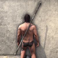 ON-item-weapon-Battleground Runner Staff.jpg