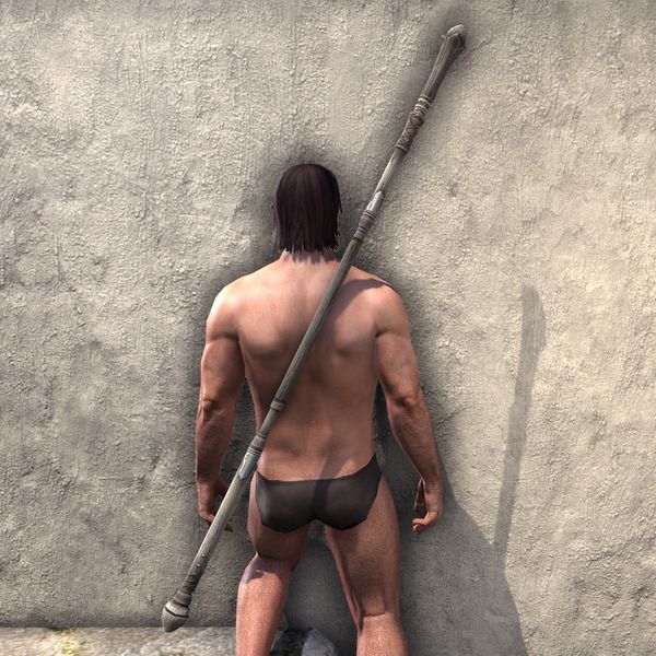 File:ON-item-weapon-Battleground Runner Staff.jpg