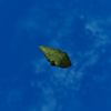 SRMOD-LOTD-tide-conch-green.jpg