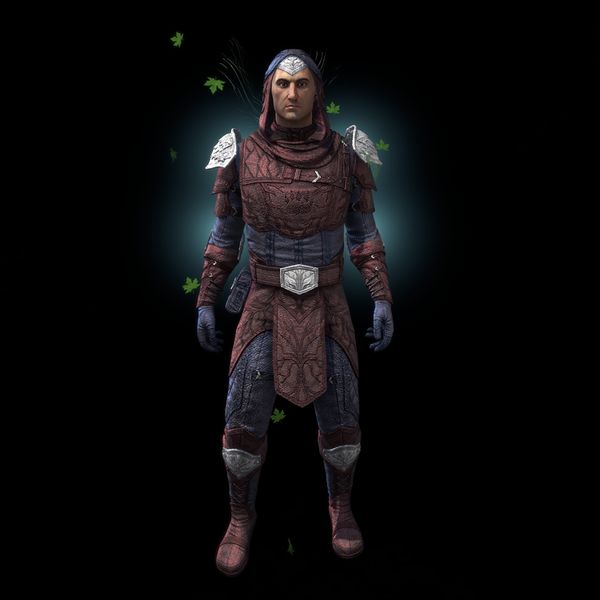 File:ON-item-armor-Gardener of Seasons.jpg