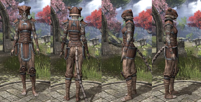 File:ON-item-armor-Khajiit Medium 2 Female.jpg
