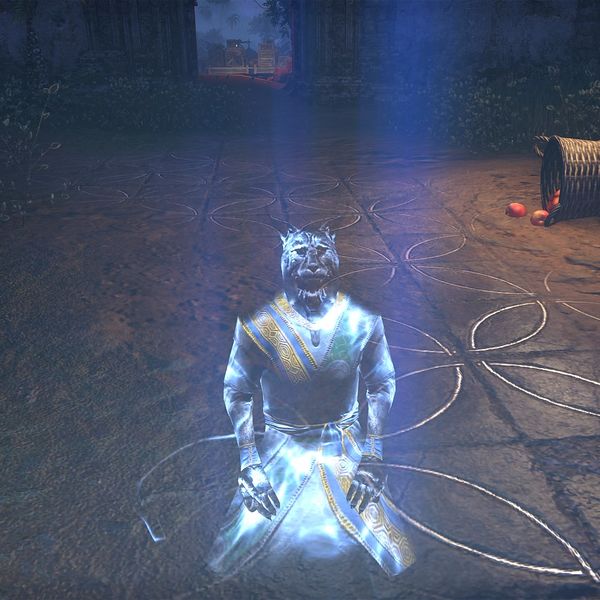 File:ON-npc-Moon-Priest Radah (projection).jpg