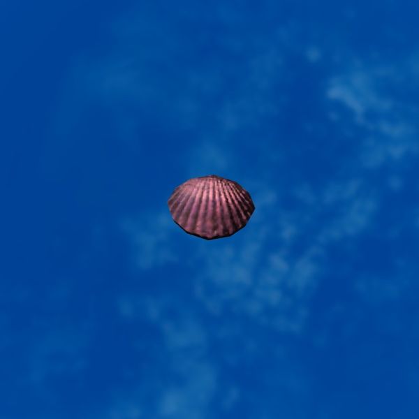 File:SRMOD-LOTD-tide-scallop shell-lilac.jpg