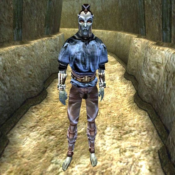 File:MW-npc-Cattle Dark Elf 02.jpg